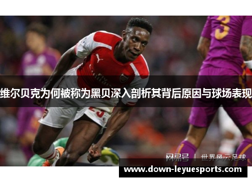 维尔贝克为何被称为黑贝深入剖析其背后原因与球场表现