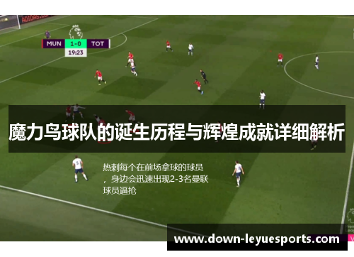 魔力鸟球队的诞生历程与辉煌成就详细解析