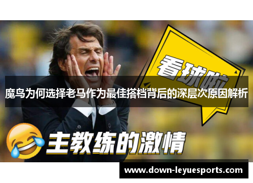 魔鸟为何选择老马作为最佳搭档背后的深层次原因解析