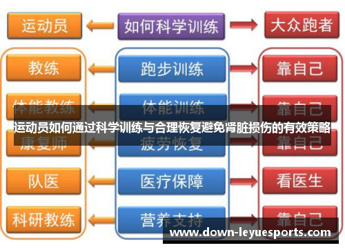 运动员如何通过科学训练与合理恢复避免肾脏损伤的有效策略